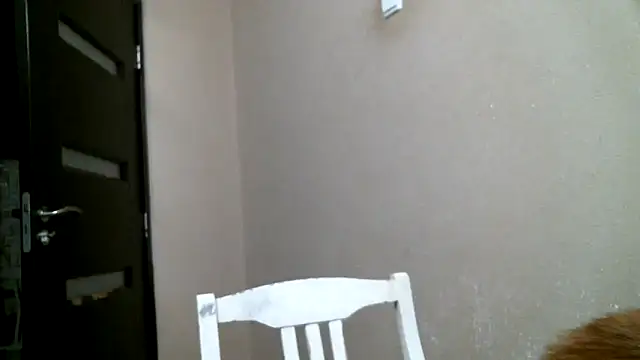 DennisXCaroll online show from February 18, 2025, 12:04 am