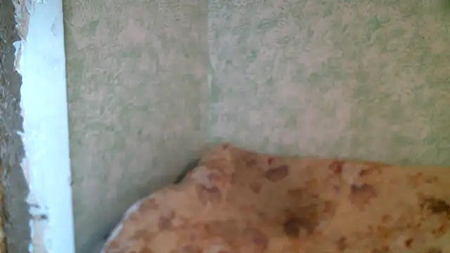 DennisXCaroll online show from April 23, 2026, 10:14 am