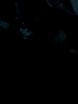 scopafiga14620 online show from April 8, 2026, 4:56 am