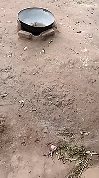 Snapshot of hairipussy2 chatting on February 20, 2025, 10:59 am hairipussy2 online show from February 20, 2025, 10:59 am