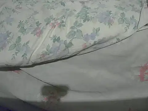 Tiger202441 online show from December 20, 2024, 10:32 pm