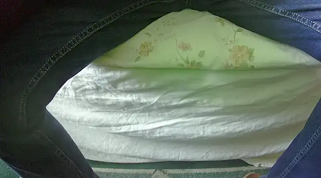 Tiger202441 online show from February 27, 2025, 10:48 am