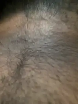 slblackboy12 online show from March 29, 2026, 8:14 am