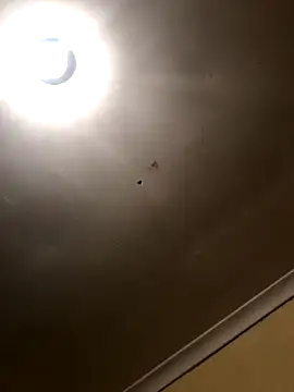 SmallGoodNut online show from November 15, 2025, 4:10 am