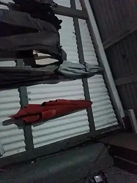 Algenis1232 online show from November 4, 2025, 7:29 am