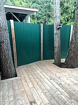 twist699 online show from November 11, 2025, 6:41 pm