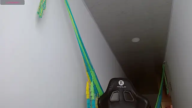 danna peterson1 online show from October 27, 2025, 5:28 pm