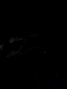 Wildherb244 online show from December 4, 2024, 1:36 am