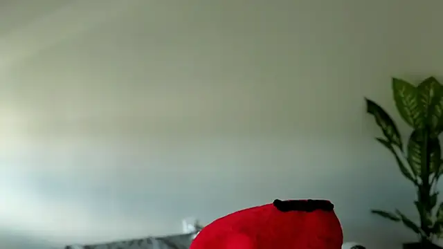 Snapshot of Sapphir3xoxo chatting on September 24, 2025, 3:15 pm Sapphir3xoxo online show from September 24, 2025, 3:15 pm