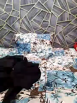 Snapshot of Diya_Chopra chatting on December 16, 2024, 4:45 am Diya Chopra online show from December 16, 2024, 4:45 am