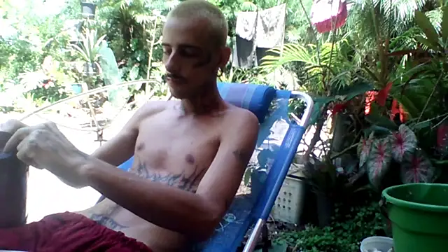 sellvageria online show from November 22, 2025, 1:32 pm