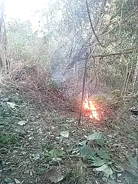 andreu mature online show from February 26, 2025, 10:42 pm