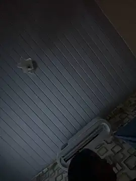 Avint-Perfeita online show from November 20, 2025, 10:31 pm