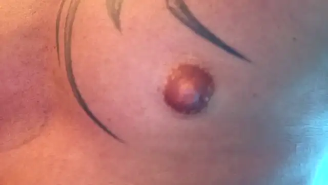 Timbojan28 online show from February 11, 2026, 10:37 pm