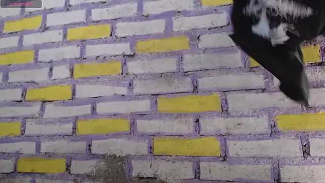 Lukas strong online show from November 8, 2025, 2:06 pm