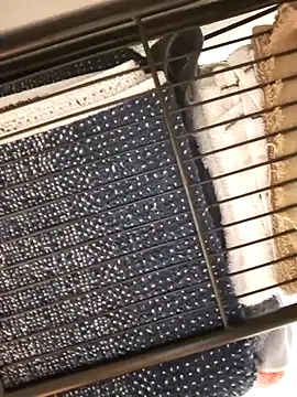 Snapshot of bigdickdaddy2184 chatting on January 28, 2025, 8:14 am bigdickdaddy2184 online show from January 28, 2025, 8:14 am