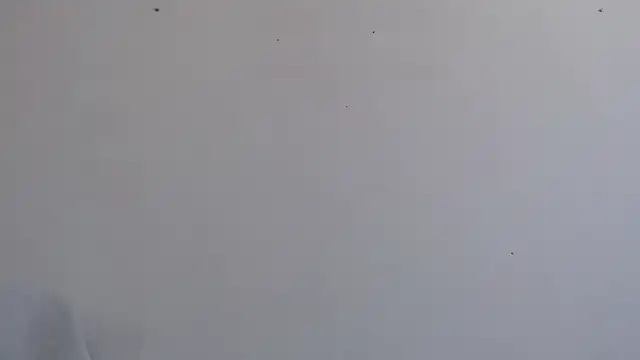 Niurca01  online show from September 26, 2025, 3:49 pm