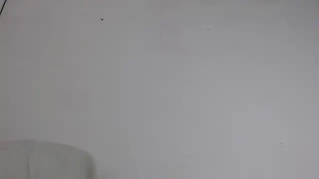 Niurca01  online show from October 5, 2025, 10:51 pm