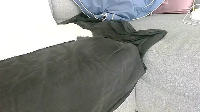 Snapshot of petardroutier chatting on January 12, 2026, 9:25 am petardroutier online show from January 12, 2026, 9:25 am