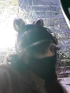 gurlnips online show from March 22, 2025, 6:54 am