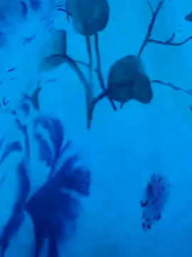 gurlnips online show from September 19, 2025, 6:37 am