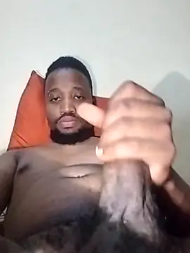 BaseDick online show from November 12, 2025, 8:41 pm