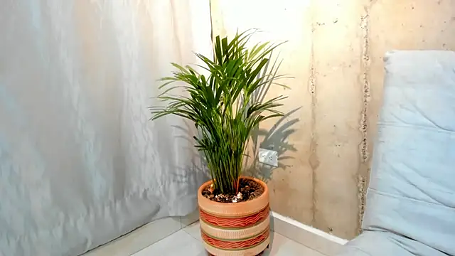 Alan greek 1 online show from January 31, 2025, 1:33 am