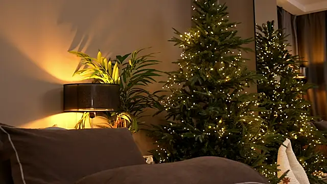  keeti  online show from November 30, 2025, 6:12 pm