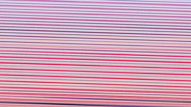 Annieefoxx online show from November 7, 2025, 2:50 pm