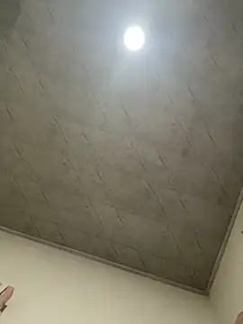 petitolivia online show from September 20, 2025, 4:24 am