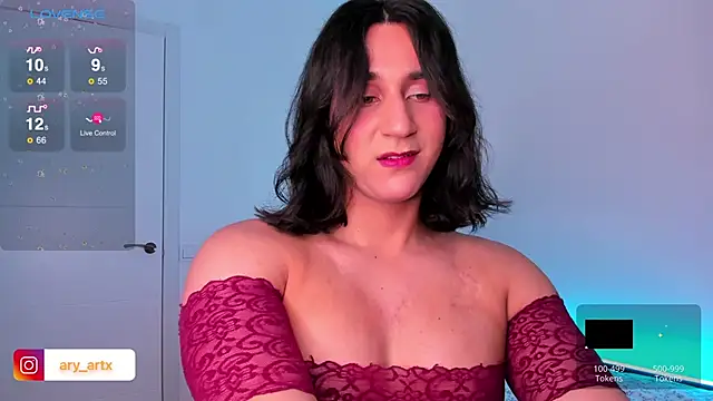 Ary art online show from January 6, 2025, 5:06 pm