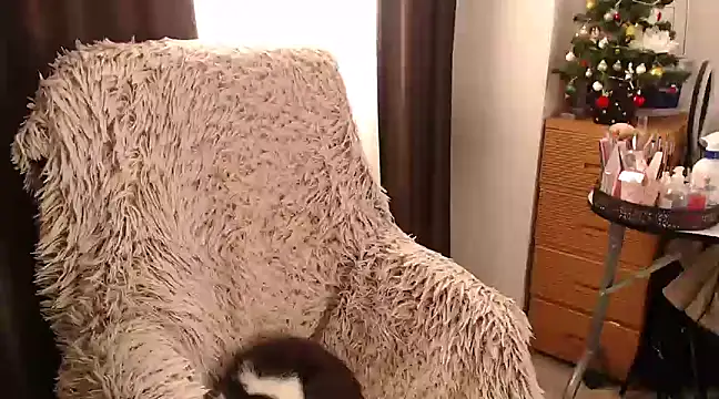 Goddessmxx online show from December 13, 2024, 11:55 am