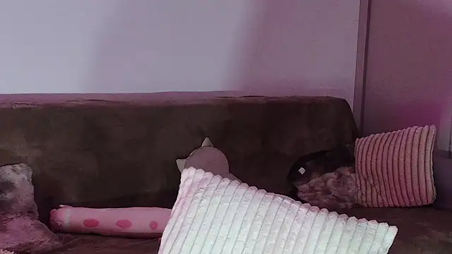 Eva Millar online show from February 21, 2026, 8:26 am