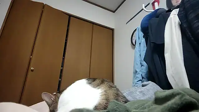 07YUKIO online show from April 24, 2026, 9:23 am