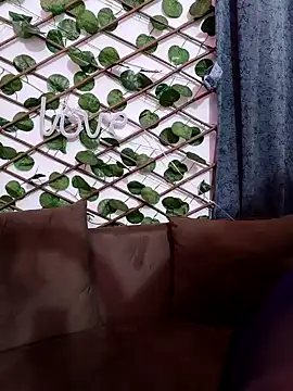 Snapshot of Bold-Cat chatting on February 7, 2025, 6:02 pm Bold-Cat online show from February 7, 2025, 6:02 pm