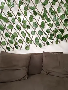 Snapshot of Bold-Cat chatting on October 2, 2025, 8:16 pm Bold-Cat online show from October 2, 2025, 8:16 pm