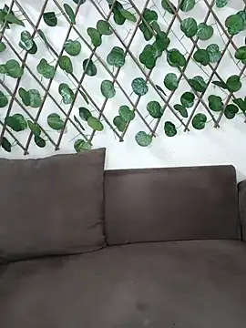 Snapshot of Bold-Cat chatting on November 17, 2025, 4:46 pm Bold-Cat online show from November 17, 2025, 4:46 pm