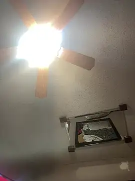 Snapshot of SmokingSloth chatting on February 6, 2026, 2:31 pm SmokingSloth online show from February 6, 2026, 2:31 pm