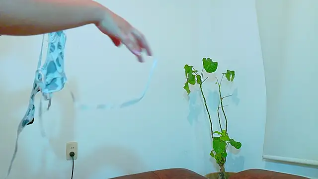 clydexxxbunny online show from December 7, 2024, 6:48 pm