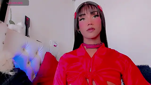 HELEM  S7 online show from February 14, 2025, 8:05 pm