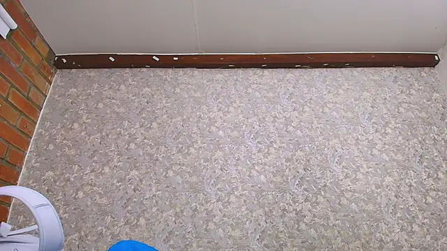 nicol f online show from January 12, 2025, 7:10 pm