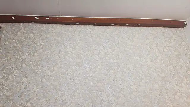 nicol f online show from March 5, 2025, 1:31 am