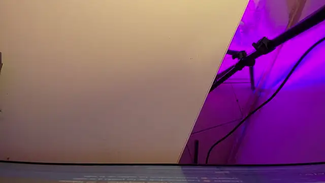 sarah  bigboobs online show from March 3, 2026, 3:34 am