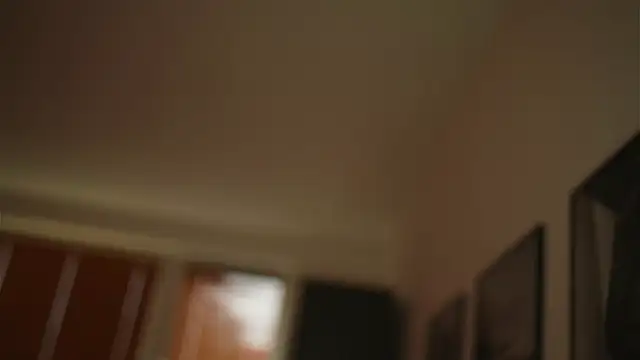 Bellis Perenis online show from December 30, 2024, 8:54 am