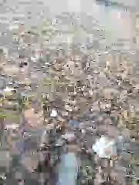 Nik888Nik888 online show from January 9, 2025, 8:03 am