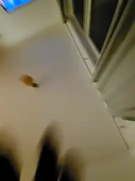 eric69 69 online show from November 7, 2025, 12:32 am