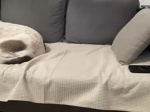 4small4inchlol online show from March 21, 2026, 12:10 pm