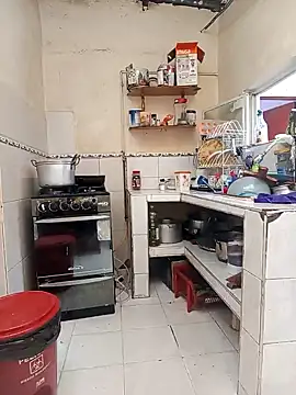 florecita9 online show from December 12, 2024, 9:04 pm