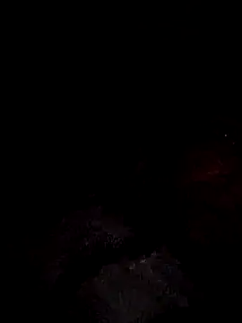 FeltedEuropium online show from February 19, 2025, 10:20 pm