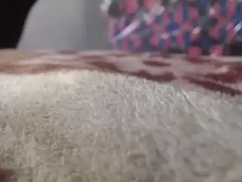 hoittytoittyxx online show from March 3, 2025, 3:20 pm